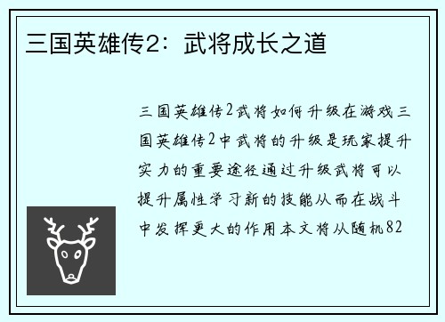 三国英雄传2：武将成长之道